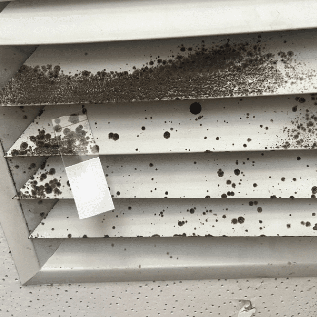 Close-up of a white vent cover with visible black mold spots on and around louvered slats. A piece of white tape is attached to the vent, also displaying mold spots. Contact your local environmental consulting company for effective remediation services.