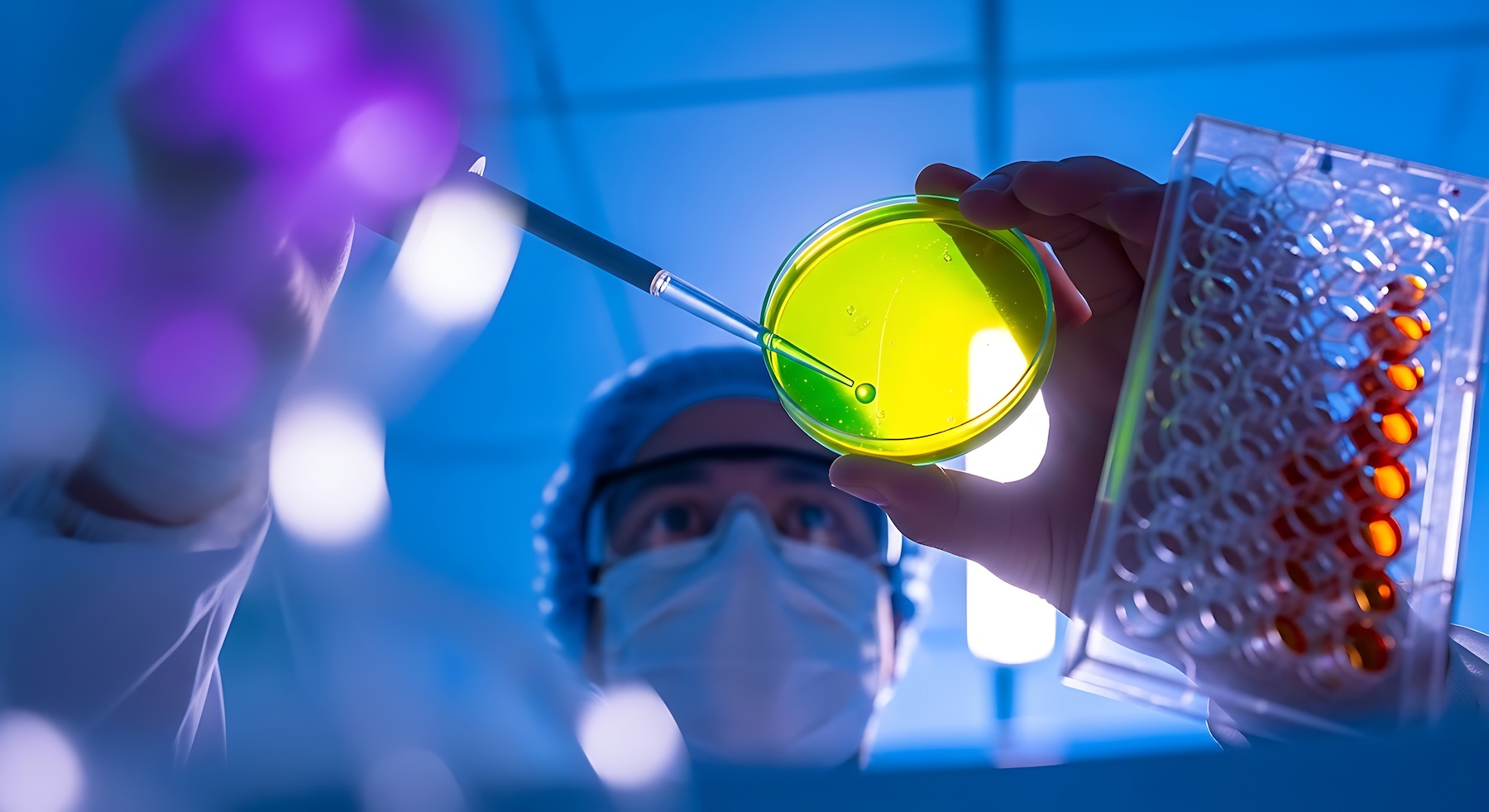 A scientist in a lab coat working with cell culture in a petri dish