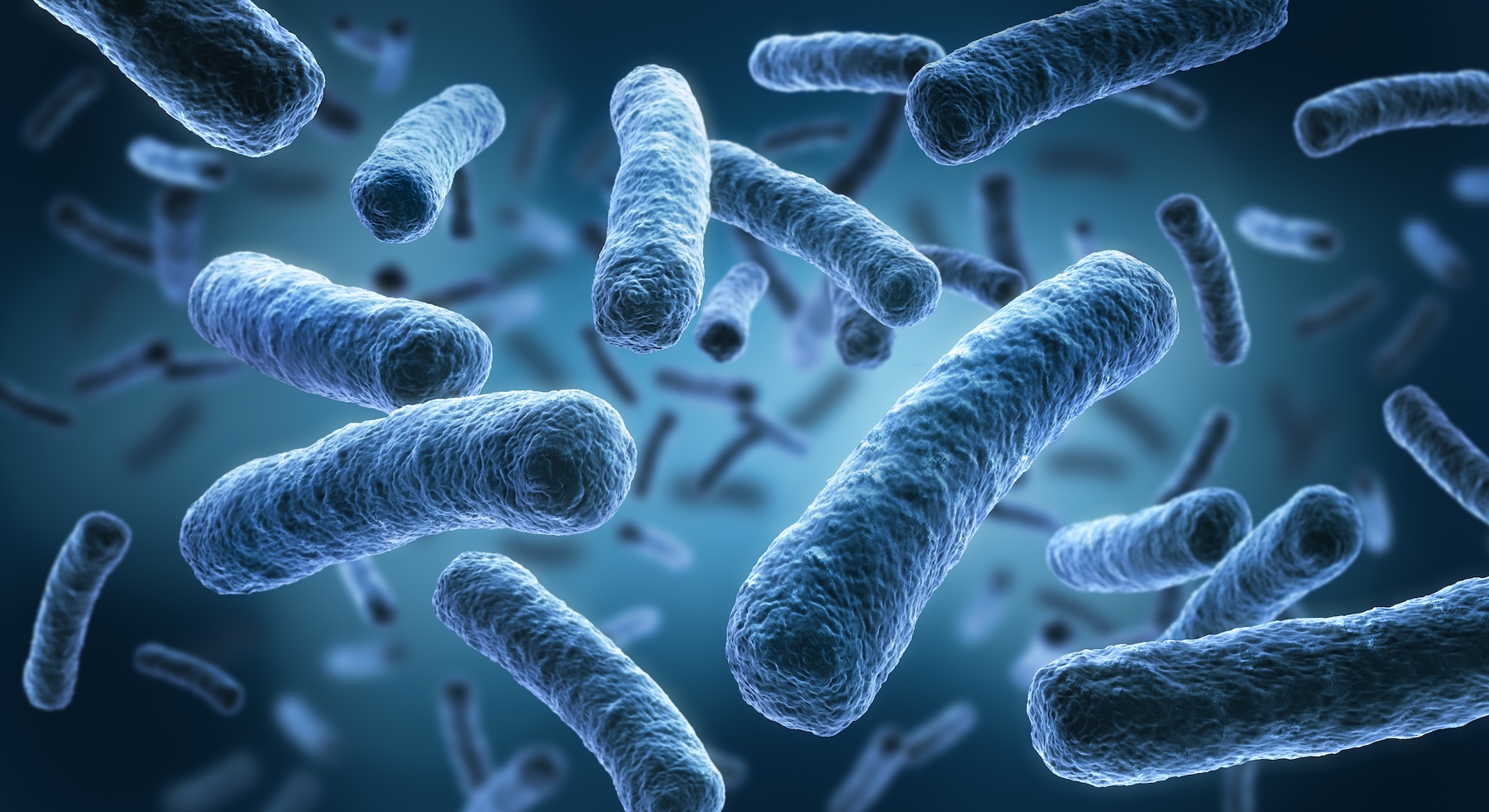 Close up illustration of bacteria